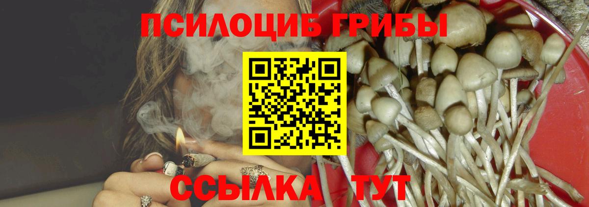 Галлюциногенные грибы мухоморы  Псилоцибиновые грибы мухоморы  Вход с VPN  цена   Курчатов 